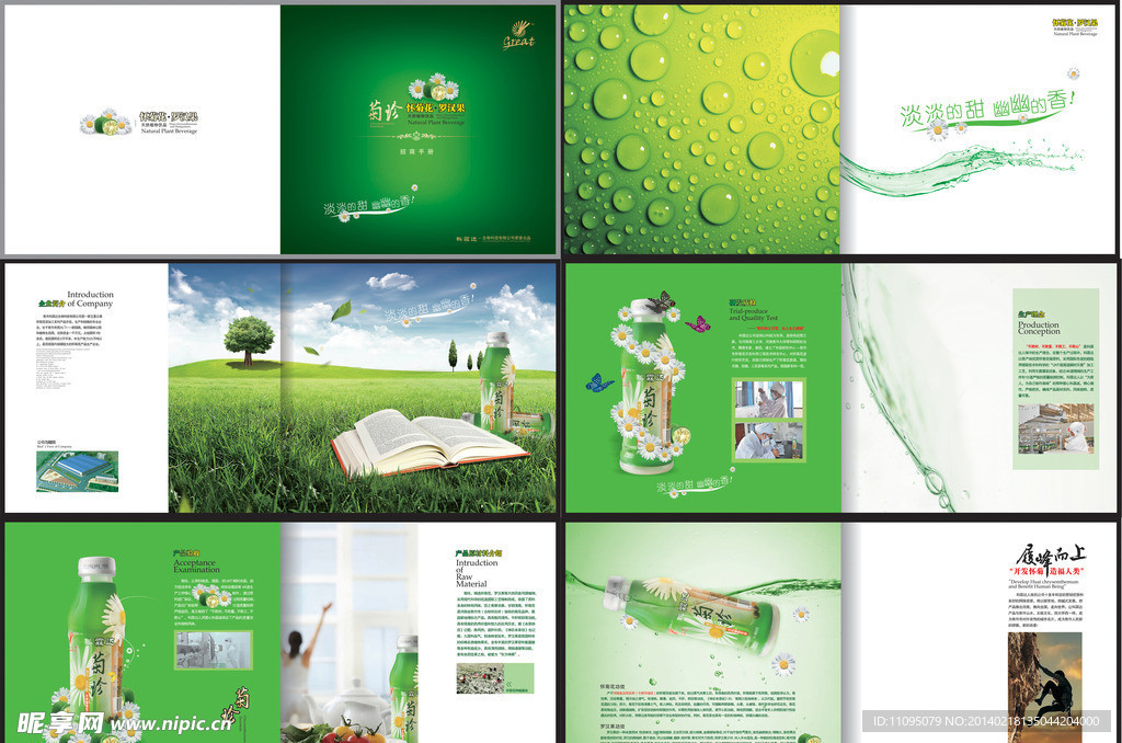 产品画册设计 从概念到视觉呈现的全面解析